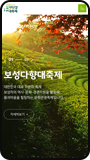 보성다향대축제 모바일 화면