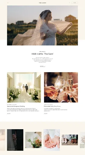 더페임(하이드로써멀엔파워) 웹사이트 화면